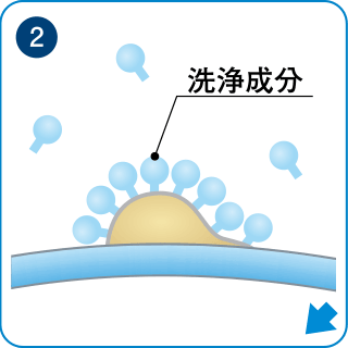 2.洗浄成分が化粧品などの脂質汚れに吸着