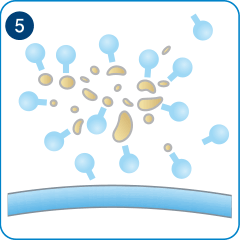 5.汚れが落ちたレンズ