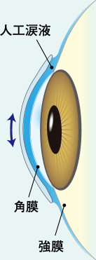レンズ装着時の人工涙液と角膜・強膜の図